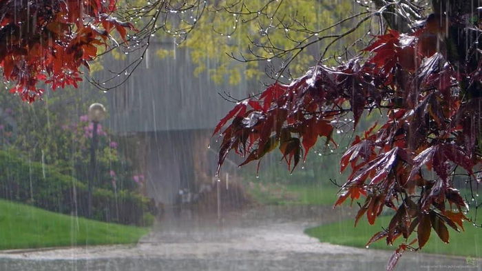 Дожди и грозы. Где завтра в Украине осадки испортят выходной