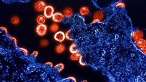 Ученые нацелили новую молекулу на уничтожение самого живучего типа ВИЧ