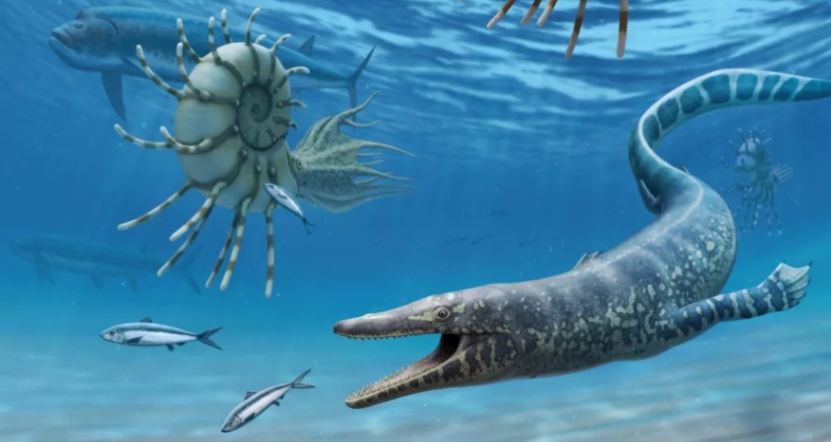 Самый древний в Северной Америке: обнаружен новый вид рептилий, живших 100 млн лет назад