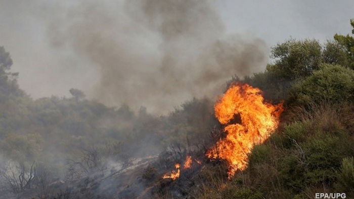 Лесные пожары в Алжире: погибли более 30 человек