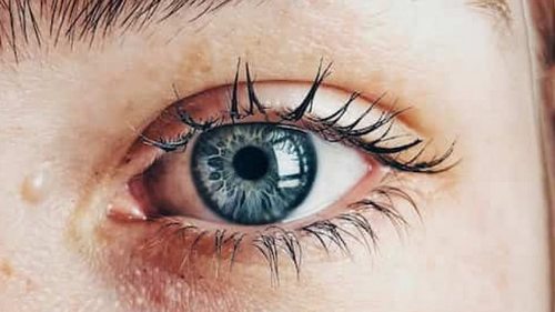 Ученые вырастили в лаборатории клетки сетчатки, используя нанотехологии