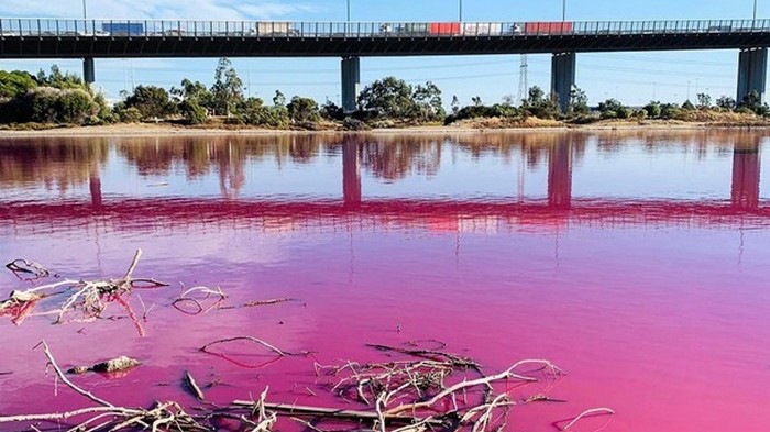 В Австралии появилось озеро с розовой водой (видео)