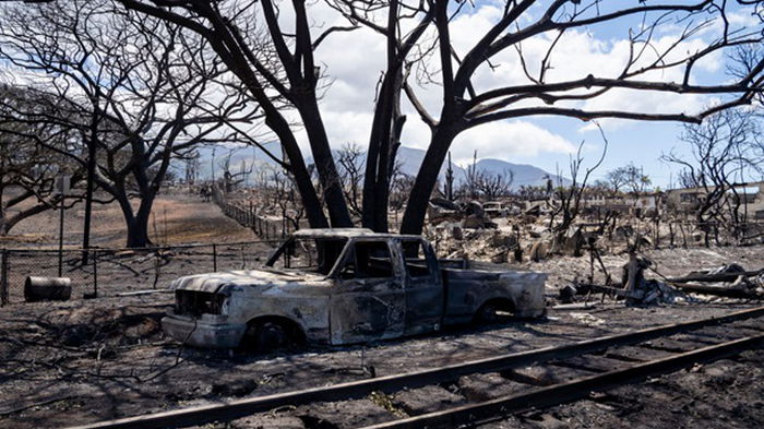 Лесные пожары на Гавайях: погибли около 100 человек