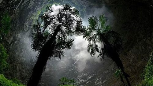 На глубине адской воронки в Китае обнаружили таинственный лес (фото)