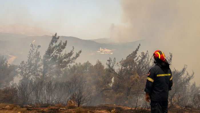 Греческие спасатели не могут взять под контроль масштабные лесные пожары