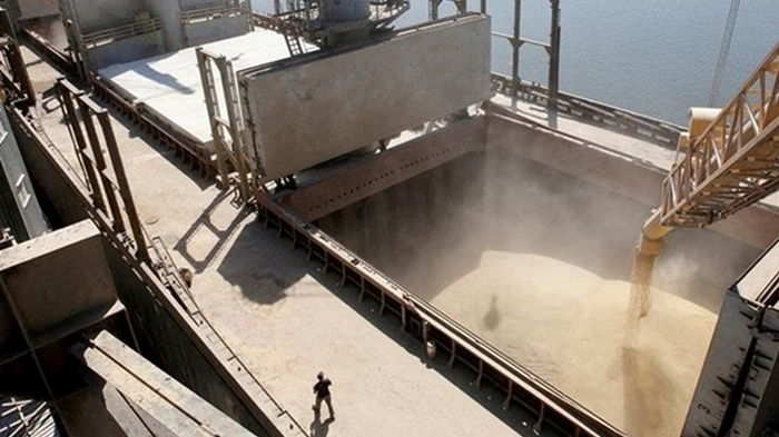 Украина экспортирует зерна больше, чем в прошлом году