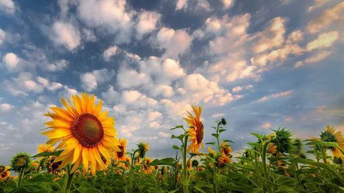 Синоптик дала прогноз на сегодня в Украине