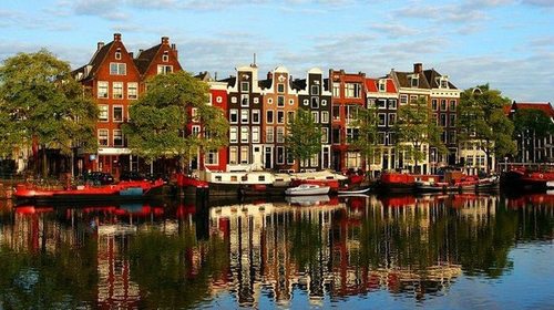 Правила открытия бизнеса в Нидерландах