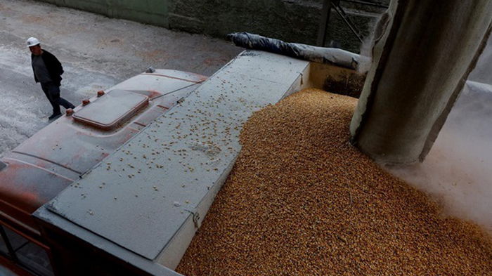 Болгария не продлит запрет на импорт зерна — СМИ