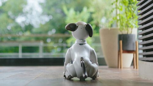 Sony ищет новые семьи для устаревших роботов-собак Aibo