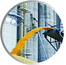 Міжнародна компанія Sojam