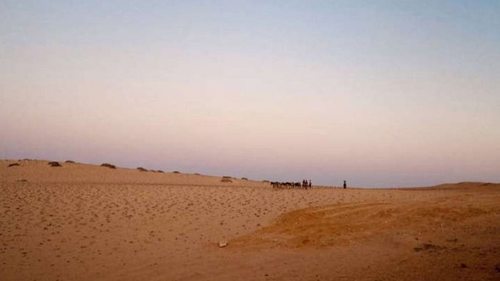 Последние носители языка. Ученые обнаружили уникальное происхождение жителей племени пустыни Намиб