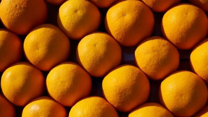 Первый апельсин на Земле. Ученые рассказали, где 8 млн лет назад впервые появились цитрусовые