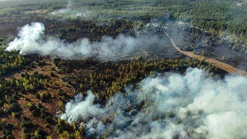 На Киевщине ликвидировали масштабное возгорание травы