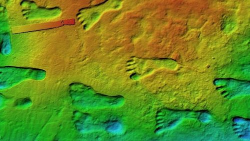 Люди открыли Америку на 7000 лет раньше, чем считалось: это меняет историю континента