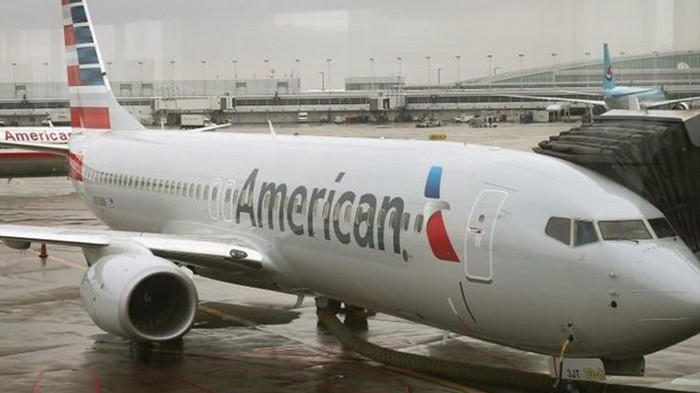 В США самолет столкнулся со стаей гусей