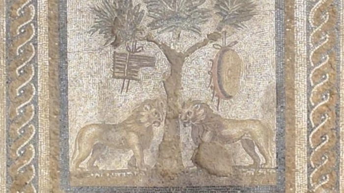 Мозаику со львами обнаружили в древнем турецком городе: она в удивительно хорошем состоянии (фото)