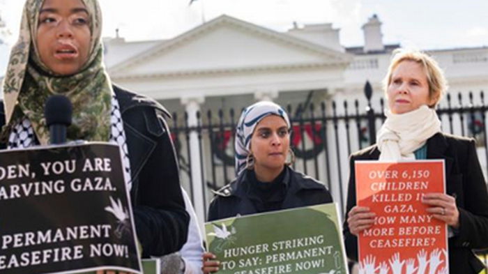 Актриса Синтия Никсон объявила голодовку в поддержку Сектора Газа (видео)