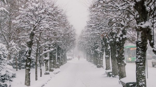 Какой будет погода в декабре: Укргидрометцентр дал прогноз на первый з...