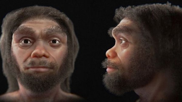 Ближайший родственник Homo sapiens: ученые смоделировали лицо настоящего Человека-дракона