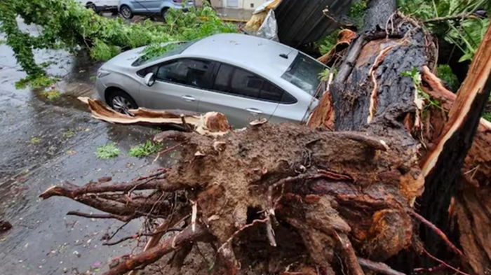 В Буэнос-Айресе ураган сломал символ города (фото)