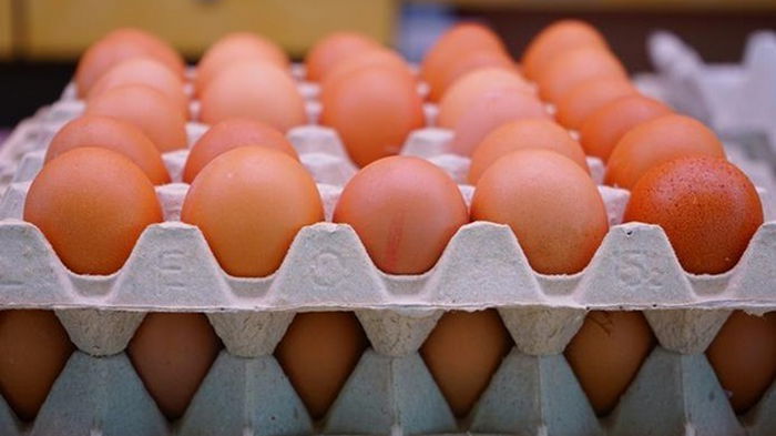 РФ планирует импортировать куриные яйца из Ирана