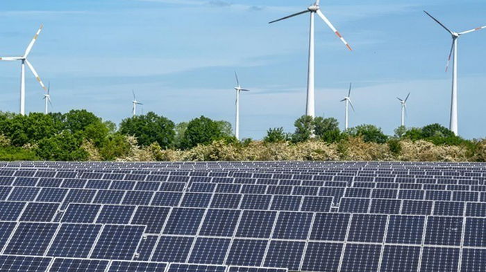 Мощности «зеленой» энергетики в мире выросли на 50% — глава МЭА