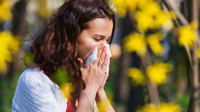 Новый взгляд на старую проблему: обнаружен эффективный способ контроля симптомов аллергии