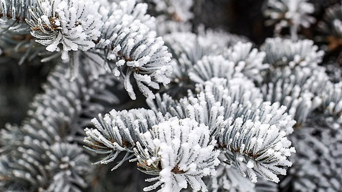 На выходные в Украине прогнозируют похолодание до 15-20° мороза