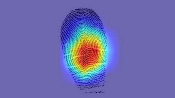 Революционное открытие: отпечатки пальцев человека не так уникальны, как считалось