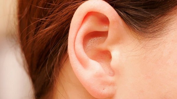 Все дело в ушах. Ученые разгадали, как люди стали прямоходящими