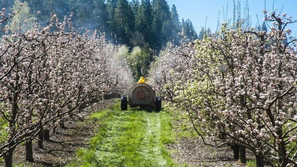 Фермеры заставили ЕС свернуть программу сокращения вдвое использования пестицидов