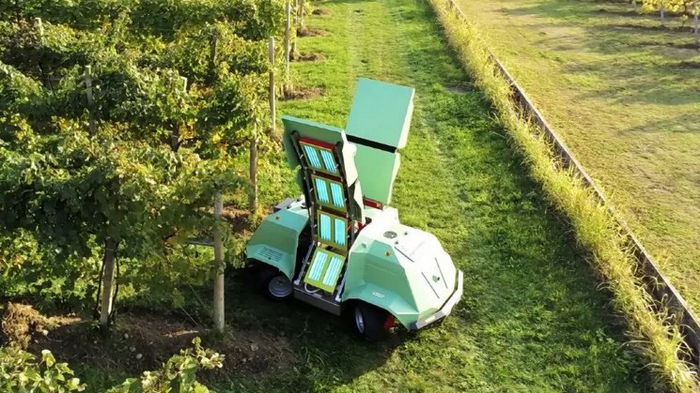 В Италии создали робота, обрабатывающего растения без пестицидов. Его хватит на 15 га