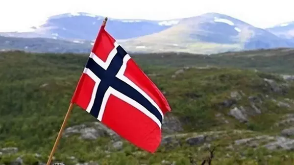 Из Норвегии выслали гражданку Китая, запустившую дрон над объектом НАТО