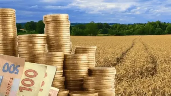 В Украине появился новый вид ценных бумаг. Зеленский подписал закон об аграрных нотах