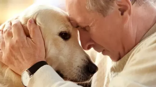 Самый чуткий нос в мире. Собаки могут учуять воспоминания о прошлых травмах в нашем дыхании