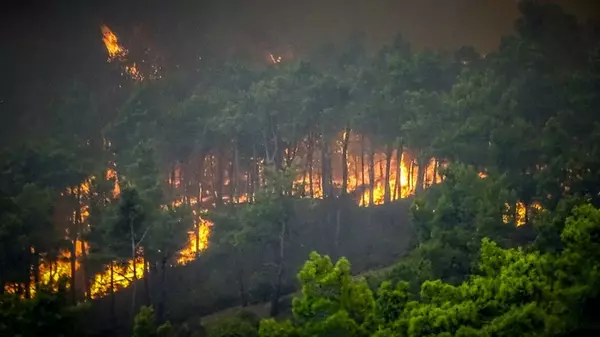 Греция повысила уровень угрозы из-за лесных пожаров