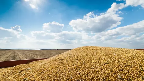 Украина установит минимальные цены на экспорт зерна. Механизм должен з...