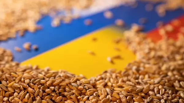 Украина сократит экспорт зерновых в 2024/2025 маркетинговом году