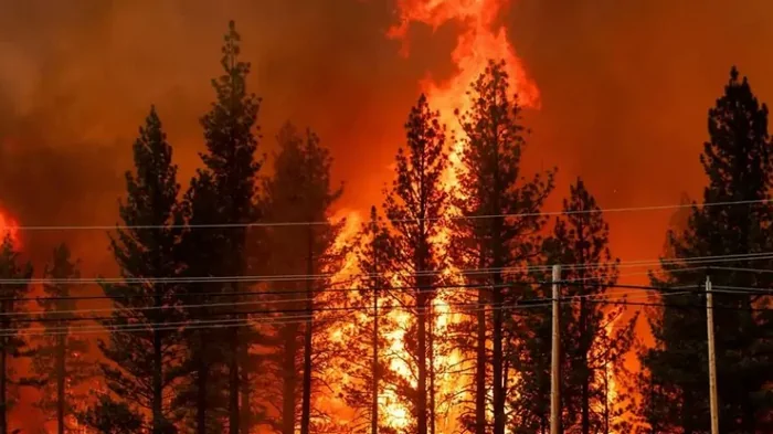 Земля в огне. За последние 20 лет экстремальные пожары проносятся по планете вдвое чаще