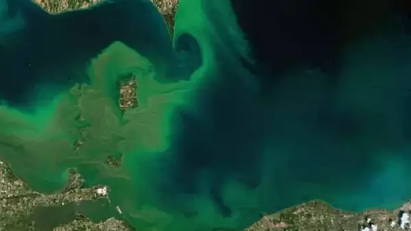 Половина крупнейших озер мира неустойчивы: утратили всякую способность восстанавливаться (фото)