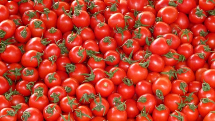 В Украину не пустили более 35 тонн зараженных помидоров из Турции