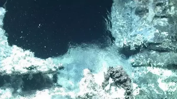 Неожиданный подводный мир был обнаружен глубоко в океане на севере Земли (фото)