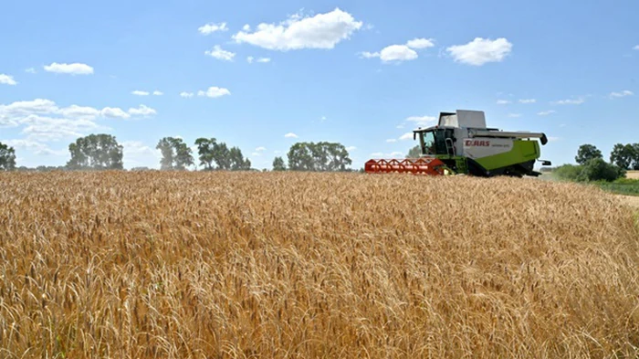 Аграрии намолотили более 22 млн тонн зерновых и масличных