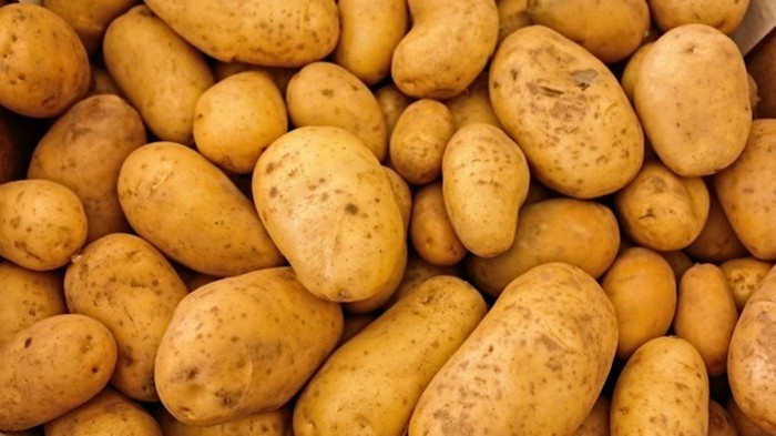 В Украину не пустили зараженный картофель из Нидерландов