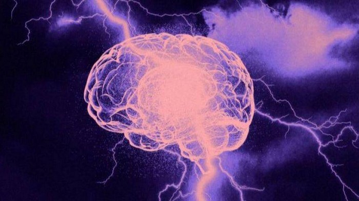 Неврологи определили, какая часть мозга отвечает за сознание