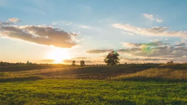 Грозы и засухи: Укргидрометцентр дал прогноз на самый жаркий месяц года