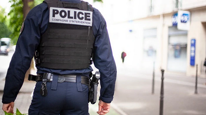 Во Франции полиция вторые сутки ищет удава, который сбежал из террариума