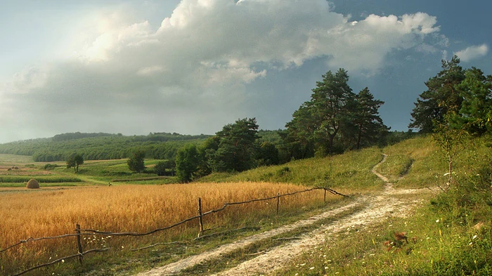 Август — «холодный»? Синоптик объяснила, что на самом деле происходит с погодой в Украине