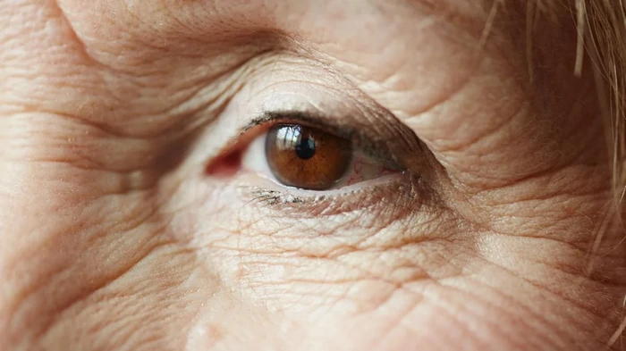 Ученые нашли секрет «замораживания» старения в неожиданном источнике